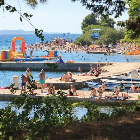 Pet Friendly In * Zelengrad